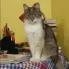 Отзыв от Инна Субботина